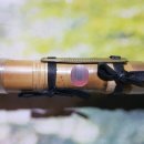 갈대이야기 이미지