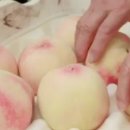 선옥농장 이미지