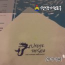 언더더씨 명동점 이미지