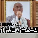 진우스님의 따따붓다 3회 : 아직 살아있는 자승스님의 재판 이미지