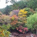 여울목민박 이미지