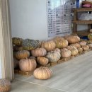 속초식당 이미지