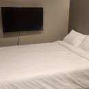 디오스테이2 이미지