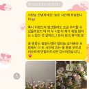 플라워앤스토리 | 🕊️ w16. 무이스튜디오 플라워디렉팅 로즈앤모어 촬영 후기+짝꿍할인코드 5,000원 추가 페이백