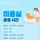 체크업동물병원 이미지