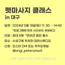 소울펠리시티