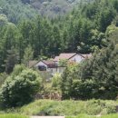 자연에서온 편지 이미지