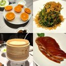 4일 여행 2일차 코스 🇨🇳 | 쓰촨시티즌·우캉맨션·폴럭스·사계민복·예원·하이디라오 먹방 루트...
