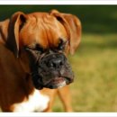 유앤동물의료원 이미지