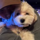 역전할머니맥주 홍성법원점 이미지