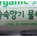 편백나무스토리