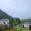 젤루느린달팽이 이미지