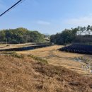 금산농장 이미지