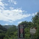강변의 숲속 네이버블로그