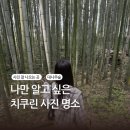 아라시야마 치쿠린 후기, 핵심만 쏙 둘러보는 사진 명소 꿀팁