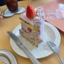 코너베이크샵 | 거제 고현동 아지베이크샵 후기, 카페·빵·디저트 추천[아지베이크샵]