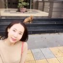 인셀덤여천점