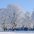 2025년 12월(셋째주) 특별반(259기) 훈련이 서울주안교회에서 열립니다. 이미지