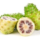 노니 필라테스 이미지