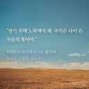 피에트라
