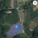 웅양면사무소 이미지