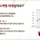 일등여행사 이미지