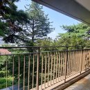 힐사이드 이미지