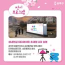 부천블라썸의원 | 벚꽃 개화시기 2022 명소 알아보기