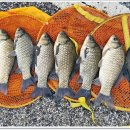 이천낚시터 이미지