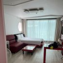 쏠베르펜션 | 거제도 애견펜션 강아지 수영장있는 쏠베르펜션 내돈내산 후기