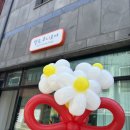 청주 풍선꽃다발ㅣ헬로후니호야ㅣ생일 파티 풍선