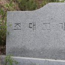 산철죽 군락지 이미지