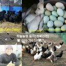 청계농장 이미지