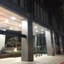 Hotel Peyto(호텔 페이토) | 서울 강남 페이토 호텔 HOTEL PEYTO 후기