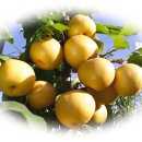 경섭농장 이미지