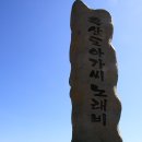 천일사진관 - 거창군 아림로 31-1 | 천일사진관