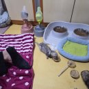 라온한방병원 | 3월 봉사 후기