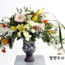 고도꽃화훼 이미지