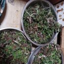 삼종셋 (2만원) 이미지
