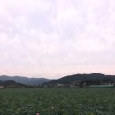 오브제토 이미지