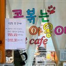 콩볶는야옹이 이미지
