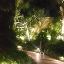 벨라지오 | 라스베가스 여행 가이드: 추천 호텔·3대 쇼 후기·벨라지오 분수쇼·여행 꿀팁