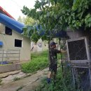 냉수농장 이미지