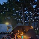 (주)티피디자인 | 16피트 쿼츠텐트 정보 피칭방법 소개