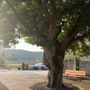 수북경로당 이미지