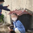 정이용원 이미지