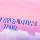 진성공인중개사사무소 이미지