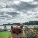 승산굿차이 | 2024 데이식스콘서트 FOREVER YOUNG 올콘 후기