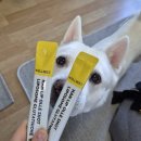 더올레 | 올레샷으로 시작한 아침 루틴 한입 리포좀 글루타치온 올리브레몬샷 후기