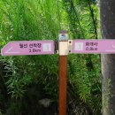 교동면사무소 이미지